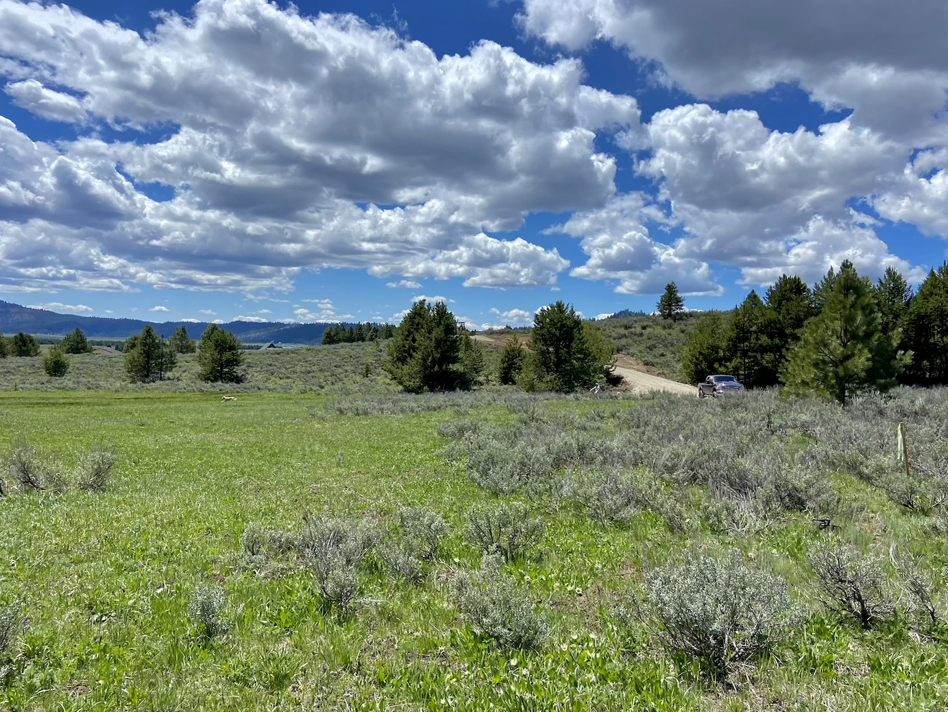 Cascade Lake Realty Bare Land 1 to 3 Acres
